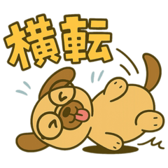 wanmo_20260107213731