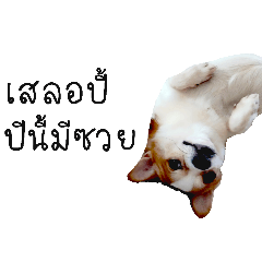 Minnie_20260107162614