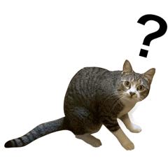 yamada_20260107195508