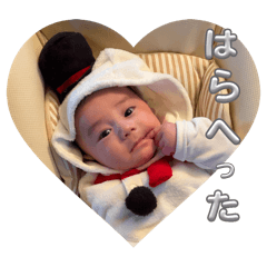 natsu_20260107223723