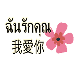 ThaiThailandTaiwanBilingualTranslation_4