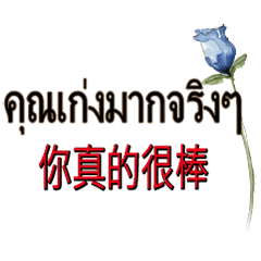 ThaiThailandTaiwanBilingualTranslation_5