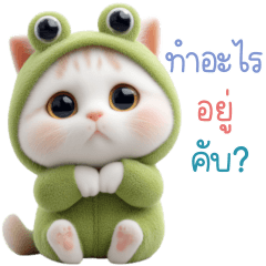 โนวา แมวขาวชุดกบ ใช้ได้ทุกวัน 2_94