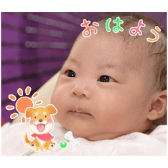 momo_20260108123415