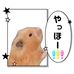 お友だちの もふりん