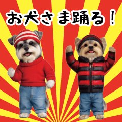 お犬さま踊る！