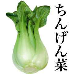 Flesh "Bok choy"