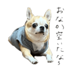 Natsumi_20260107225310