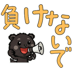 Anim. Polite Binturong 6th