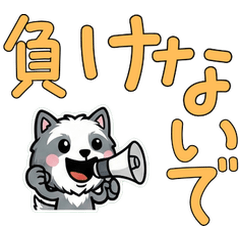 Anim. Polite Bearded Collie 6th