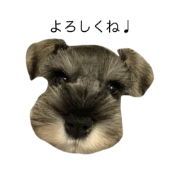 Nanoha_20260108123604