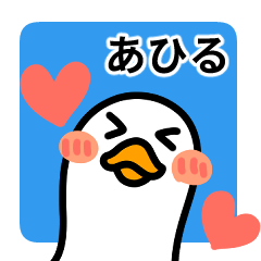 The daily life of a delightful duck