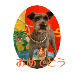 Sumire_20260108135115