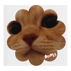 K_20260108140903