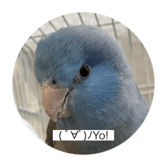 Kyochan_20260106093328