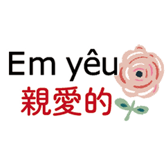 Vietnamese bilingual translation2