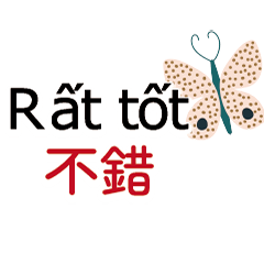 Vietnamese bilingual translation3