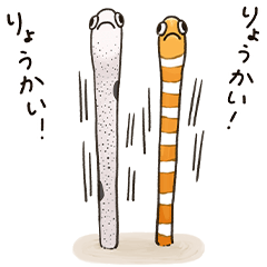 Coral reef's daily life