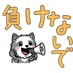 Polite Bearded Collie 5th