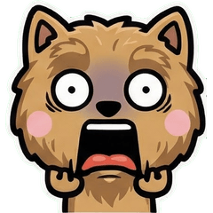 นอร์วิช เทอร์เรียเล่นใหญ่ 1