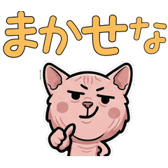 Overreaction Peterbald 3rd Text