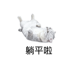 我們是最卡哇伊的咪咪