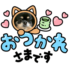 yuka_20260108022441