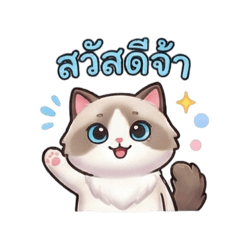 แร็กดอลล์ แมวตุ๊กตาผ้า