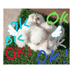 kuraetsu_20260108141922