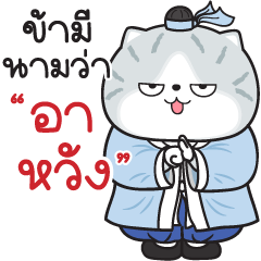 Munkaew little cat V.78
