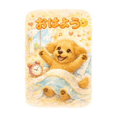 fcazu12_20260108075355