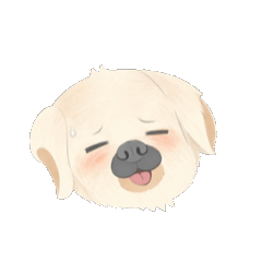 Paopa3orever_20260108213755