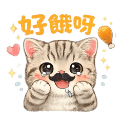 鬍子先生X錢錢貓