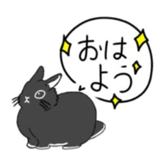 KANAKANA_20260108083904