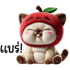 แมววิเชียรมาศ น่ารักมาก หมวกแอปเปิ้ล