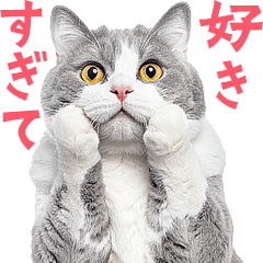 Extinction nyantomo! real Fat Cats meme2