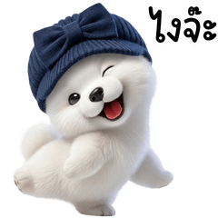 ซามอยด์ น่ารัก กวนๆ