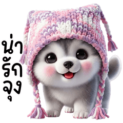 Siberian Huskies cute and mischievous.