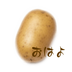 hori123_20260108092955