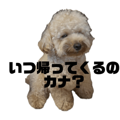 oratti_20260108101431