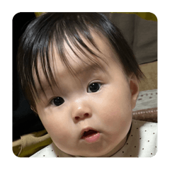 toshi_20260108112524