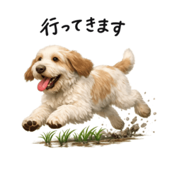 Italian Spinone Daily Stickers 1