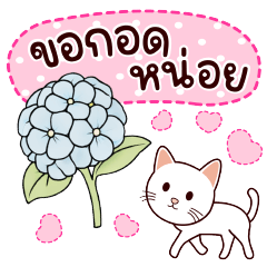 White Cat : Sweet Flower