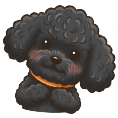 พุดเดิ้ล (สีดำ) : Nikkyu Shoji