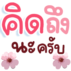 N9: Blessing everyday krab