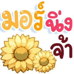 N9: Blessing everyday ja