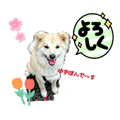 peace_20260108120834