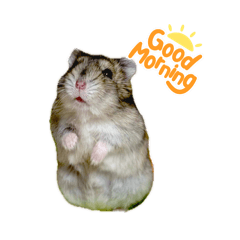 Sumire_20260108122616