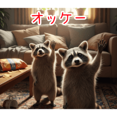 [オッケー専用]アライグマ