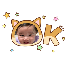 aripei_20260108155133